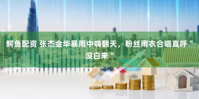 鳄鱼配资 张杰金华暴雨中嗨翻天，粉丝雨衣合唱直呼＂没白来＂