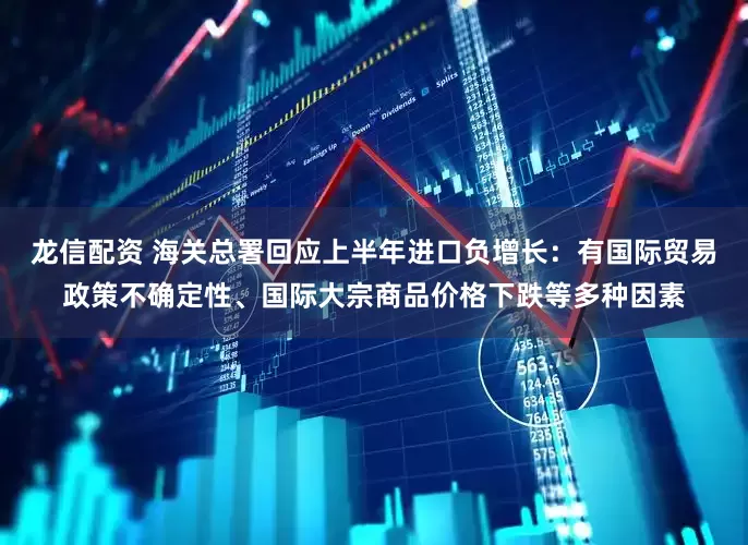 龙信配资 海关总署回应上半年进口负增长：有国际贸易政策不确定性、国际大宗商品价格下跌等多种因素