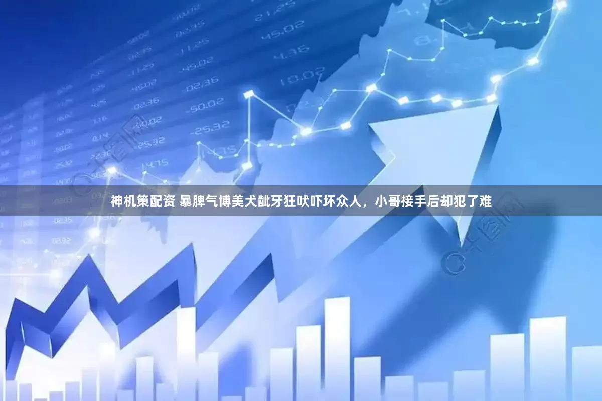 神机策配资 暴脾气博美犬龇牙狂吠吓坏众人，小哥接手后却犯了难