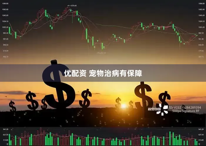 优配资 宠物治病有保障