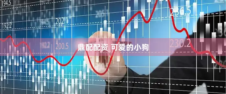 鼎配配资 可爱的小狗
