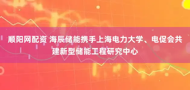 顺阳网配资 海辰储能携手上海电力大学、电促会共建新型储能工程研究中心