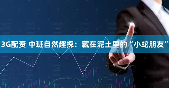 3G配资 中班自然趣探:藏在泥土里的“小蛇朋友”