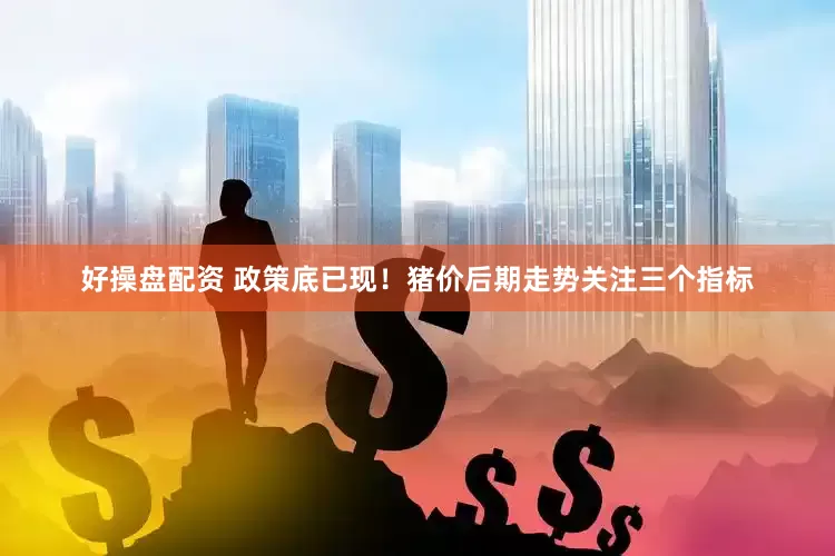 好操盘配资 政策底已现！猪价后期走势关注三个指标